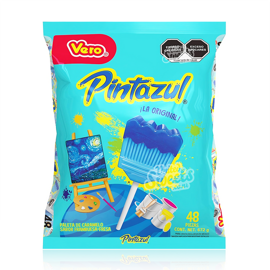 Vero Blue Paint Brush 48 Piece 672g