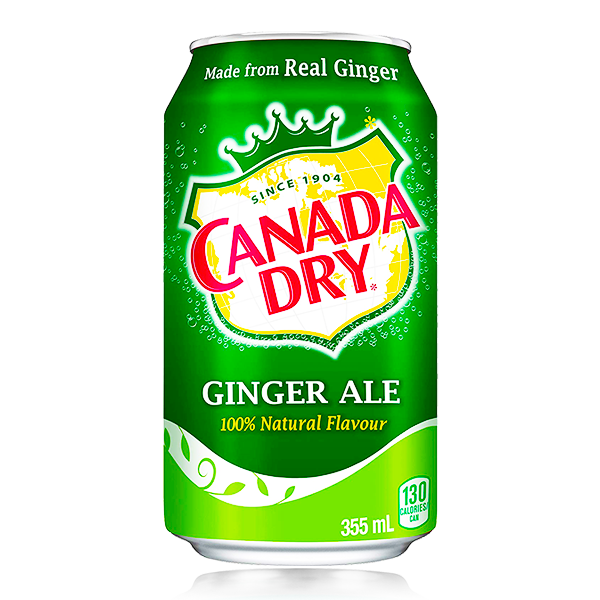 Canadian Dry Ginger Ale Can 355ml